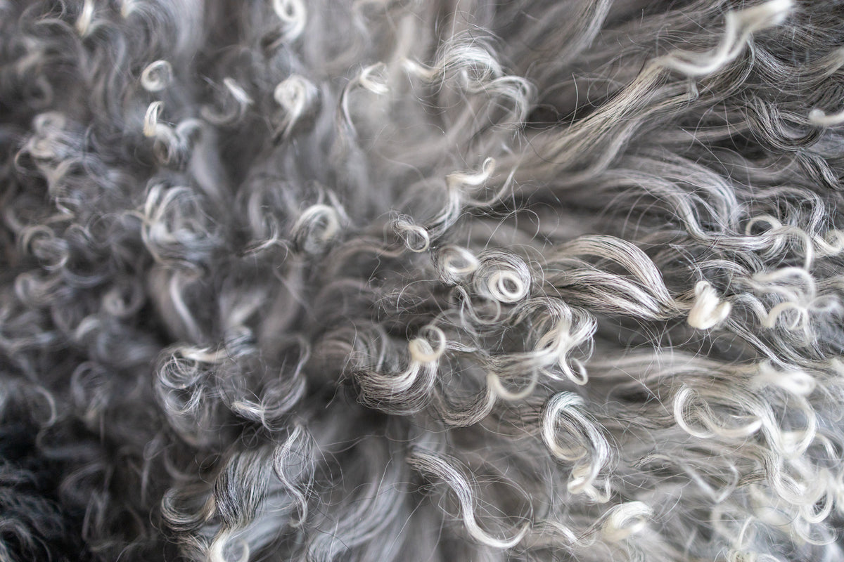 Gros plan sur les boucles naturelles poivre et sel